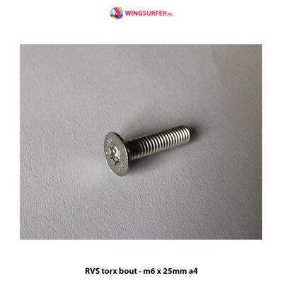 4 x RVS torx Bolzen - m6 x 22mm a4